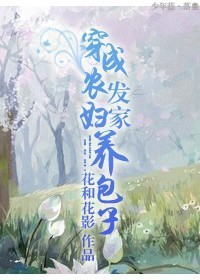 国术流小说
