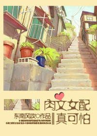 对不起我爱你小说
