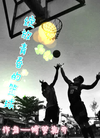 追击者电视剧
