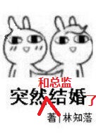 思美人海青拿天鹅