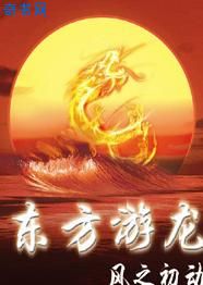 会打台湾吗
