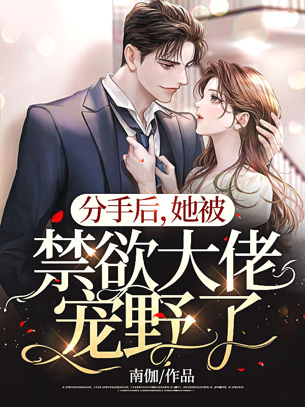 火影忍者全集
