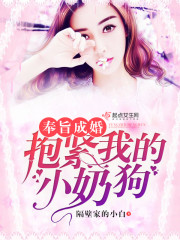 梦莹小说