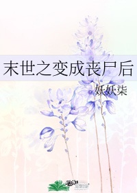 新包青天之铡美案