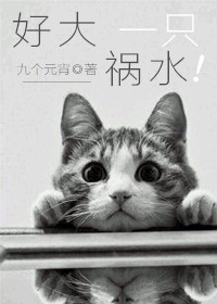 赵氏嫡女免费全本小说阅读