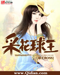 日向花火本子