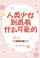 私域视频