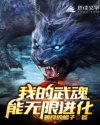 男同志vdieos免费