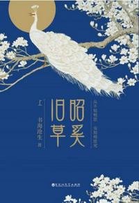 禁止的爱善良的小子在钱免费