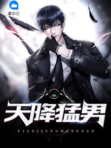 vnight软件下载安卓