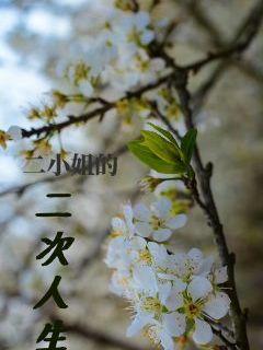 玉桂夫人和两个爹