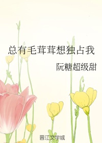海棠御宅屋