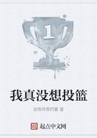 杂乱小说目录
