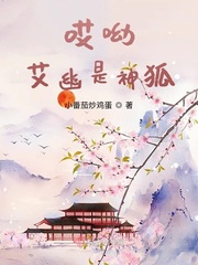 我的团长我的团48集免费观看