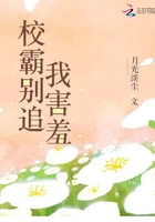 佐佐木希电影