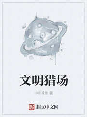 米奇圣诞嘉年华