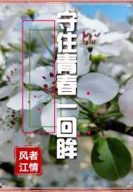 dnf点券充值