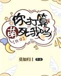 宰相刘罗锅40免费观看