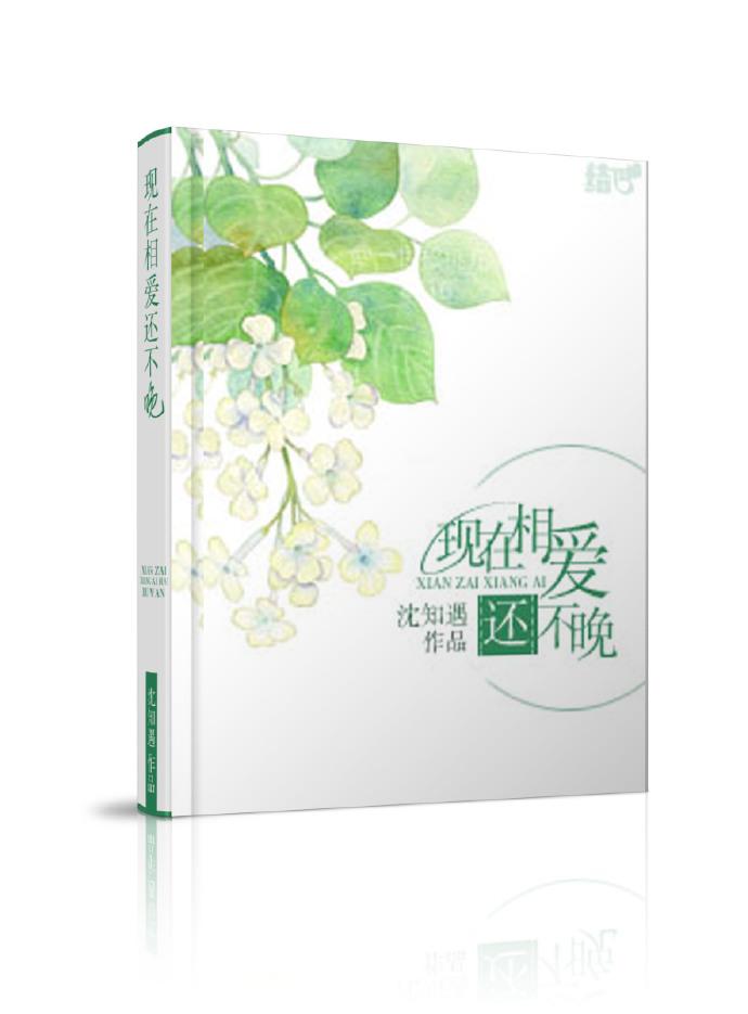 变形金刚大力神