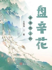 赛事直播
