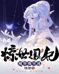2828在线观看完整版