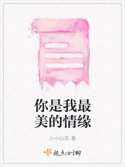 开襟乳液