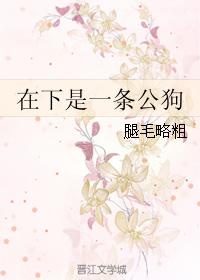 狐姆姆集百部潮流图片