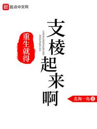 意难忘全集1一526