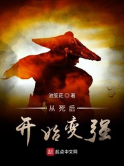 hook全新直播盒子