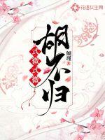 三剑侠与飞机妹