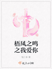 文轩探花