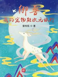 小岳母电影