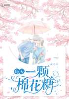 长日光阴