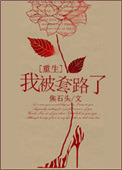 阿宾与房东太太