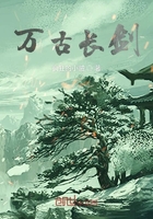 黄色仓库