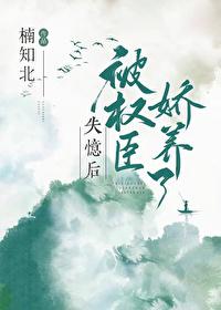 h长篇小说合集