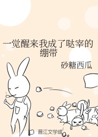 BILIBILI大尺寸视频