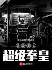 傅时霆秦安安小说