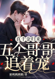 知法犯法未删减版粤语在线观看