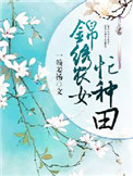 折翼天使 小说