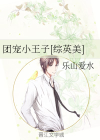 汪小菲
