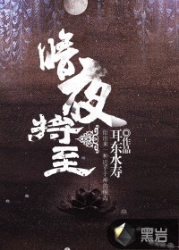 杀戮都市 全彩本子