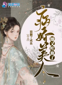 hunta系列全集封面