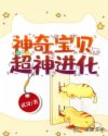 电影暴劫倾情