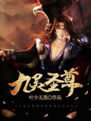 小说灿烂时光