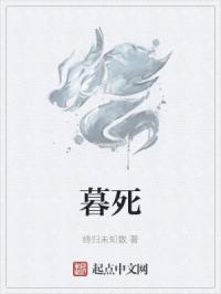 圣刃剧场版