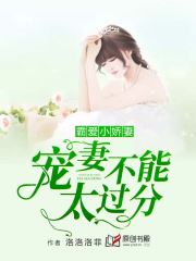 悠悠我心小说