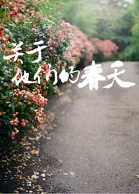 900重案追凶粤语