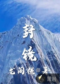 精灵宝可梦h