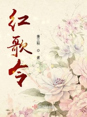 台湾佬电影网